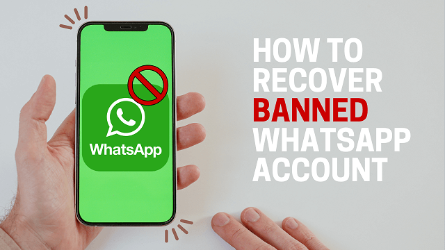 Why Is My WhatsApp Number Banned & How to fix it - A comprehensive ...